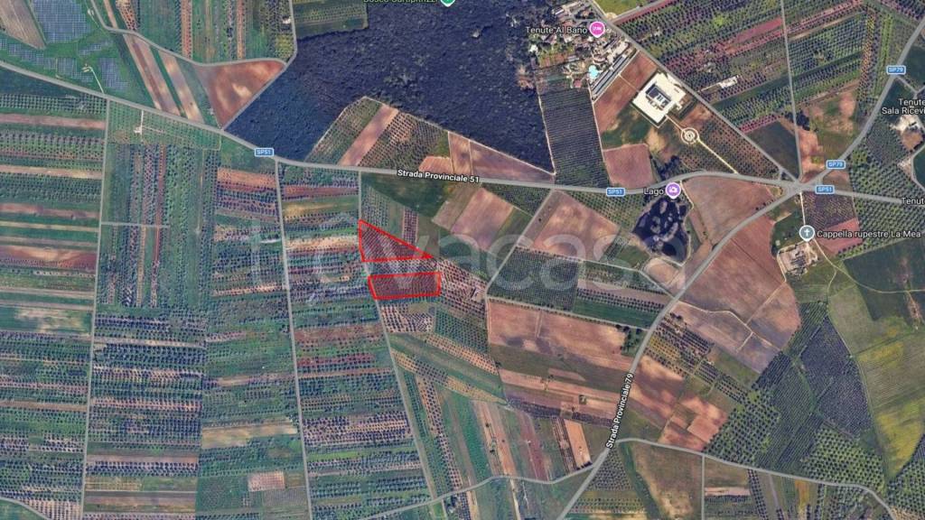 immagine annuncio 5 di 7