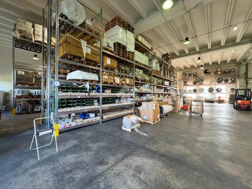 immagine annuncio 2 di 15