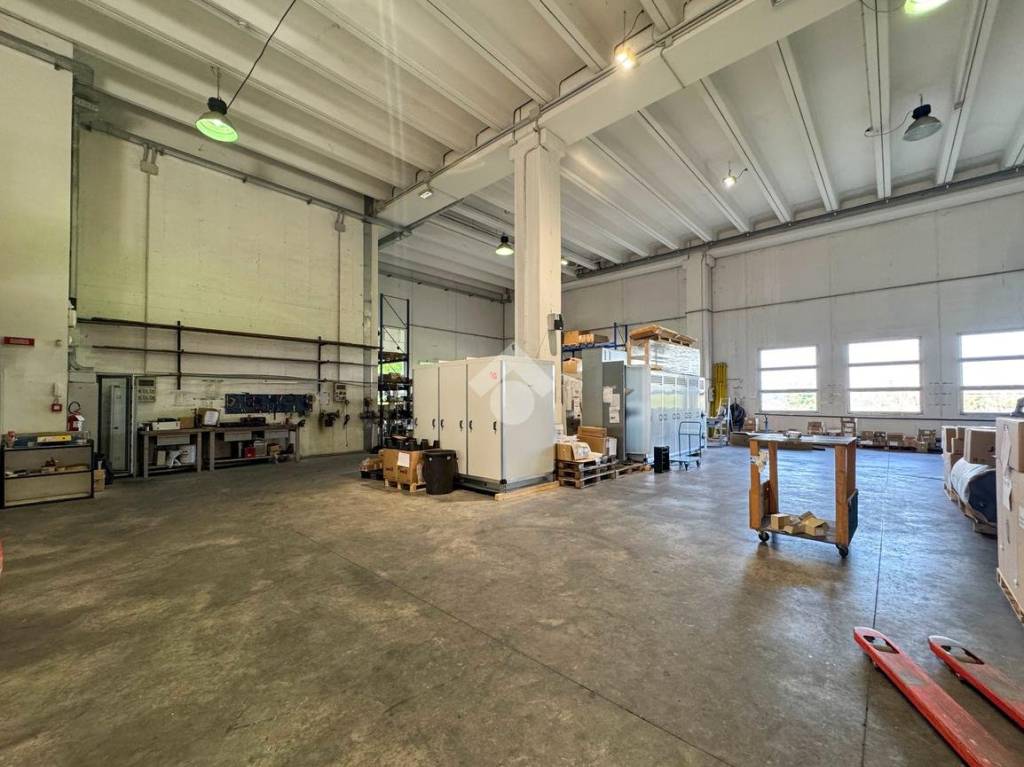 immagine annuncio 8 di 15