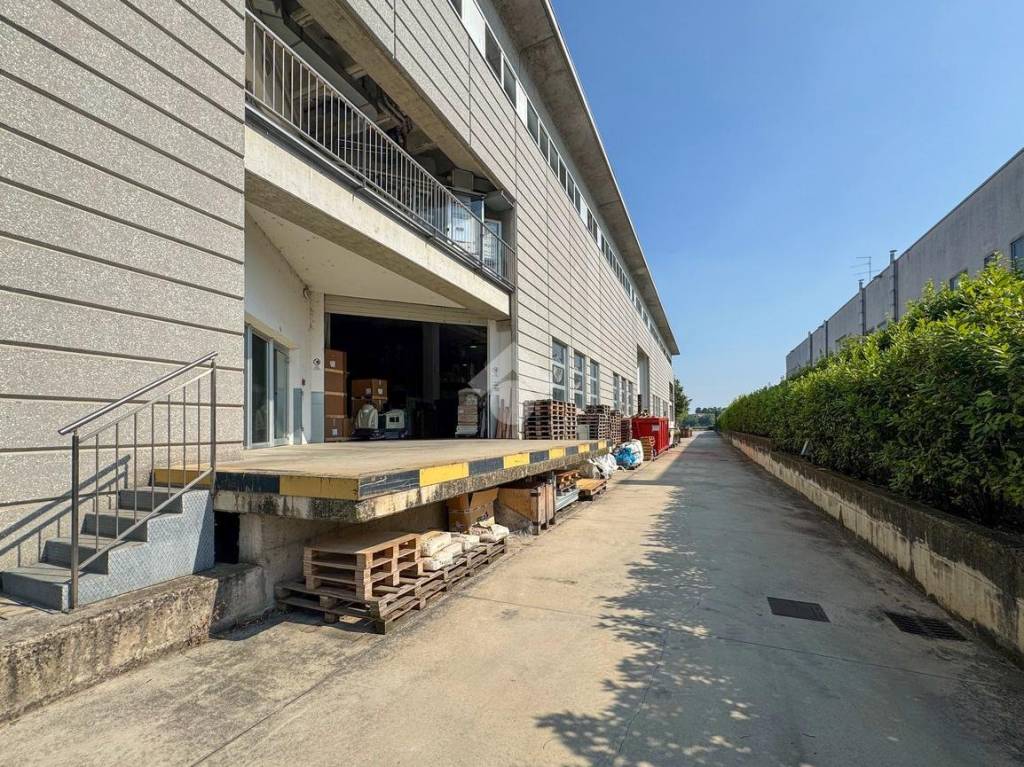 immagine annuncio 11 di 15