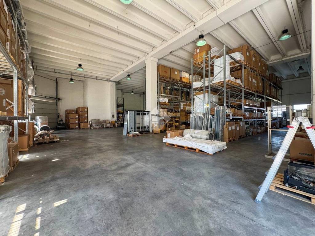 immagine annuncio 12 di 15