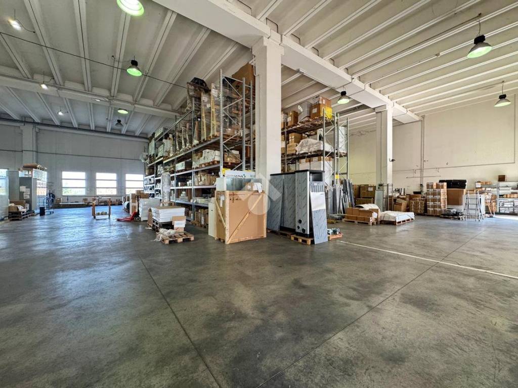 immagine annuncio 13 di 15