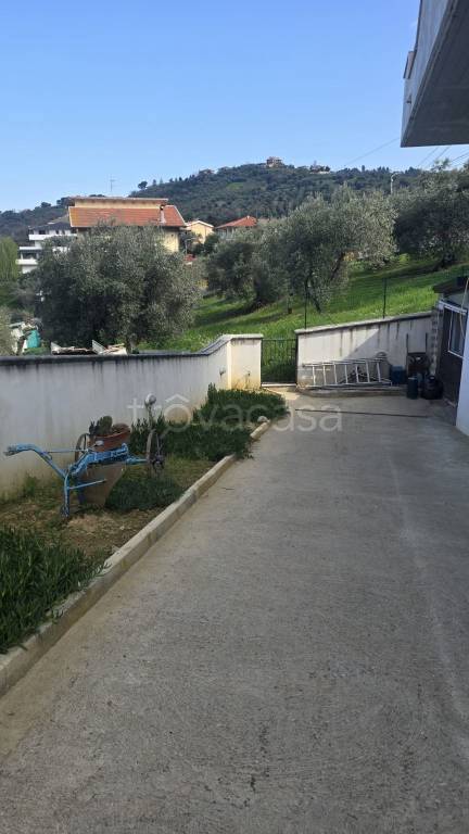 immagine annuncio 12 di 14