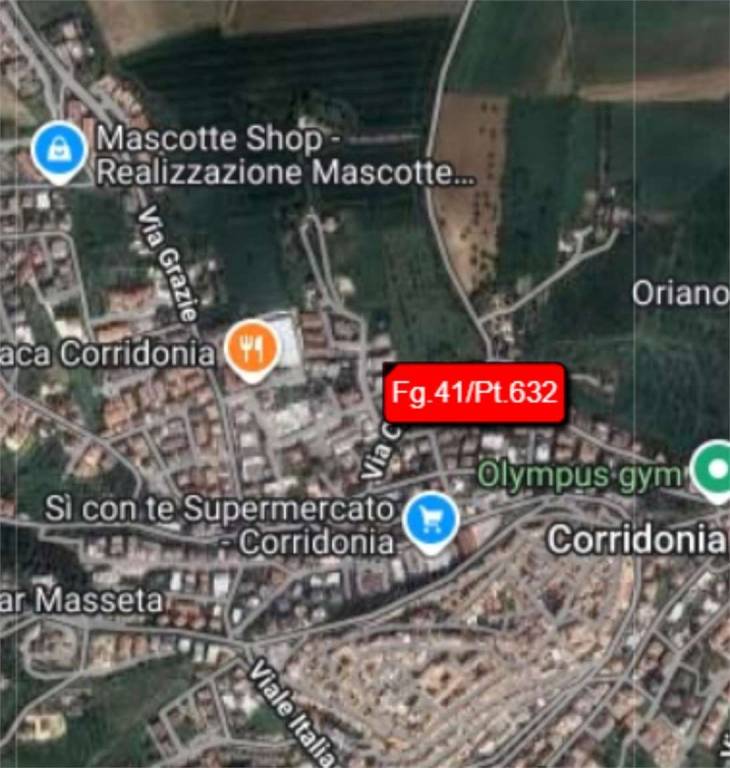 immagine annuncio 3 di 11