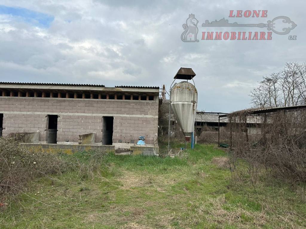 immagine annuncio 10 di 15