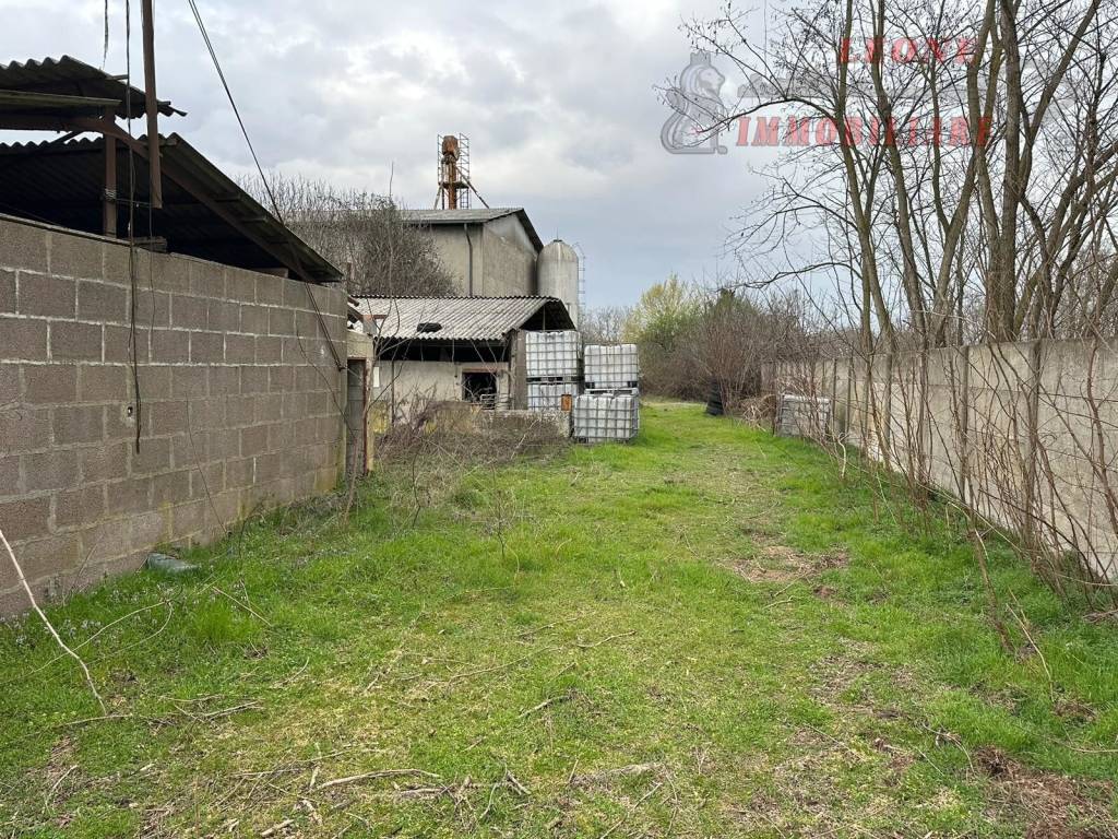 immagine annuncio 11 di 15