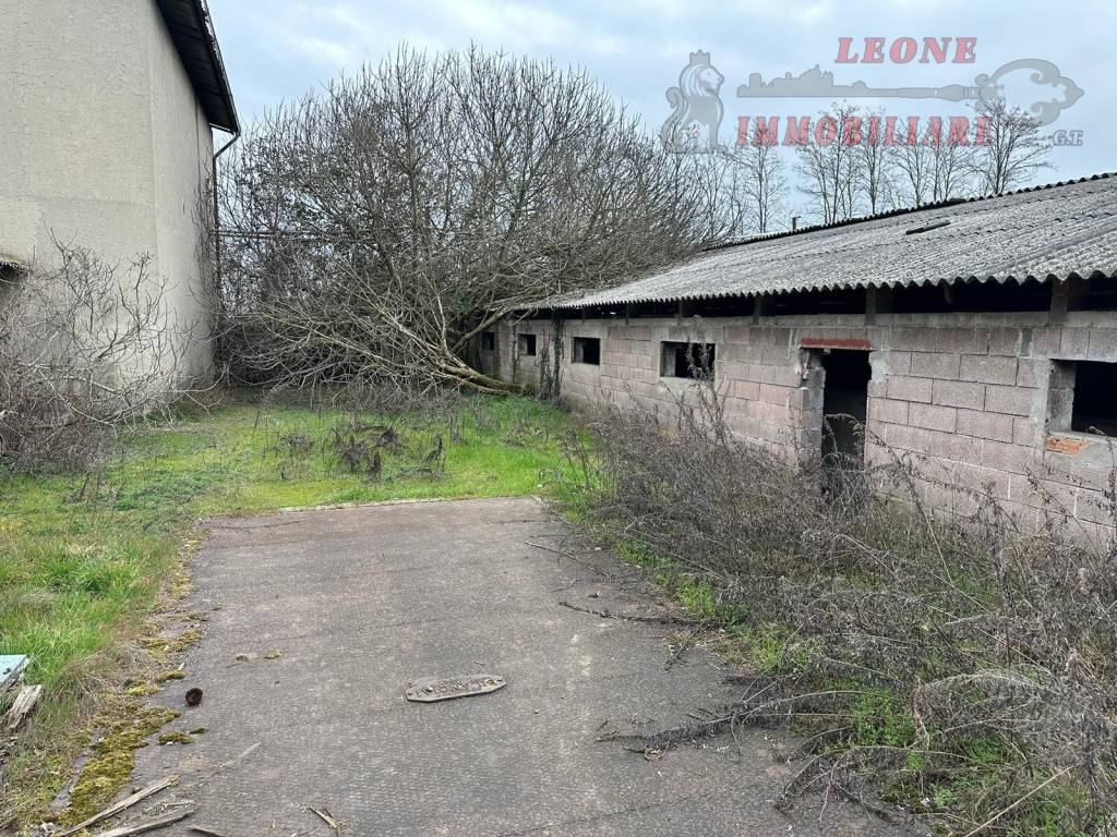 immagine annuncio 14 di 15