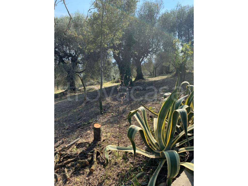 immagine annuncio 10 di 13