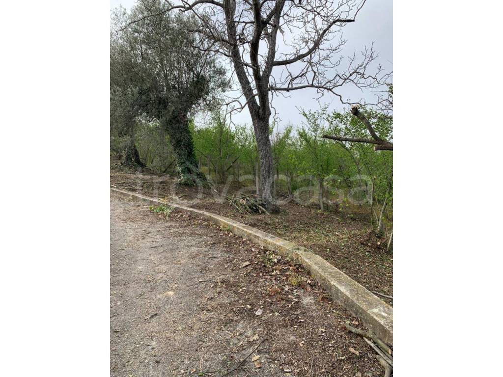 immagine annuncio 12 di 13