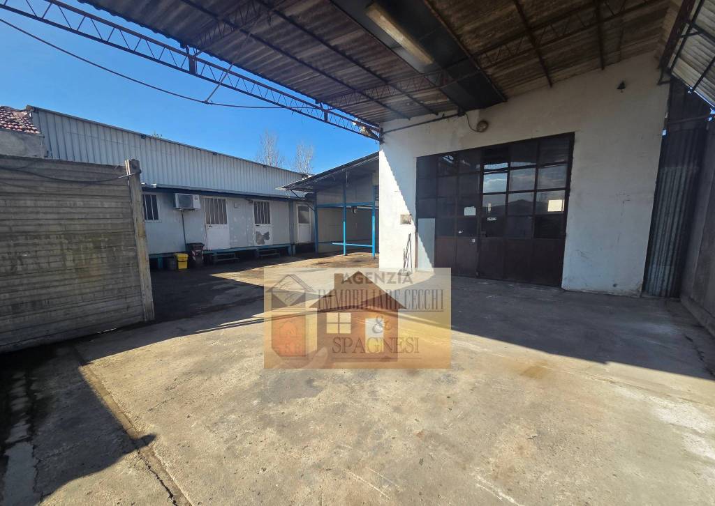 immagine annuncio 2 di 15