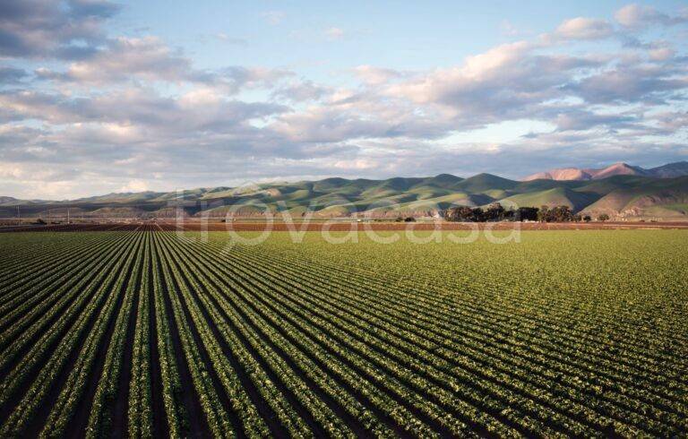 immagine annuncio 6 di 7