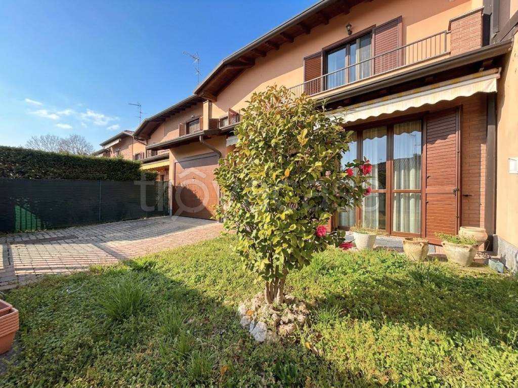 immagine annuncio 1 di 15