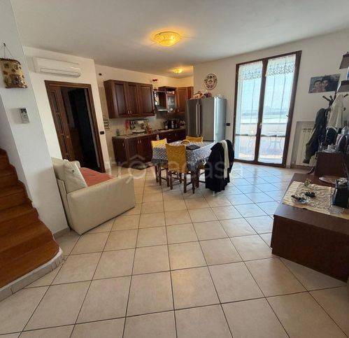 immagine annuncio 1 di 14