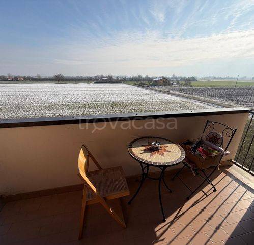 immagine annuncio 2 di 14