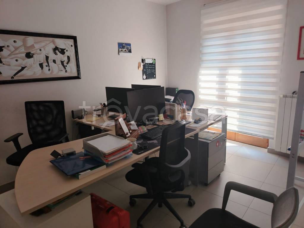 immagine annuncio 10 di 14