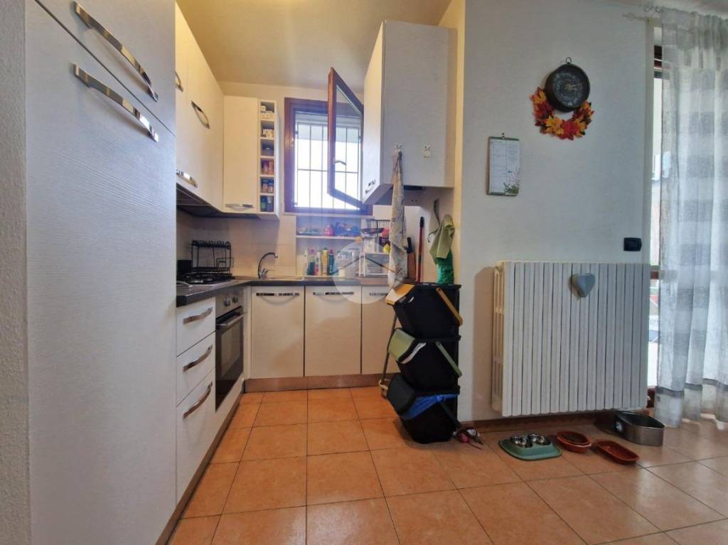 immagine annuncio 3 di 14