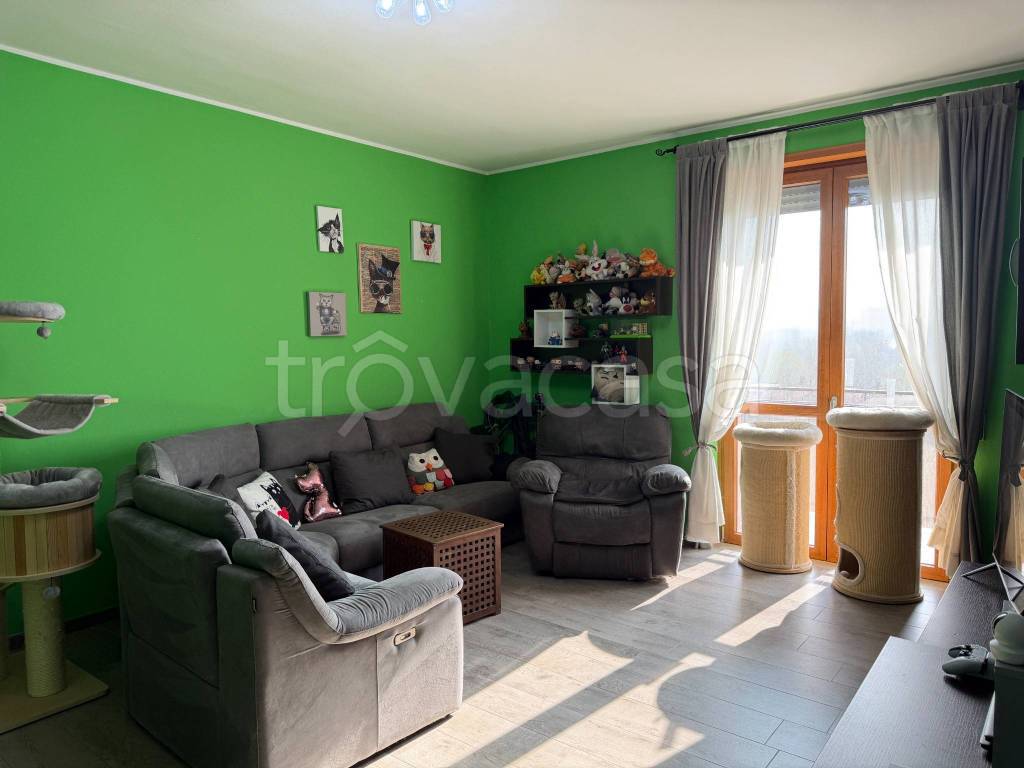 immagine annuncio 9 di 15