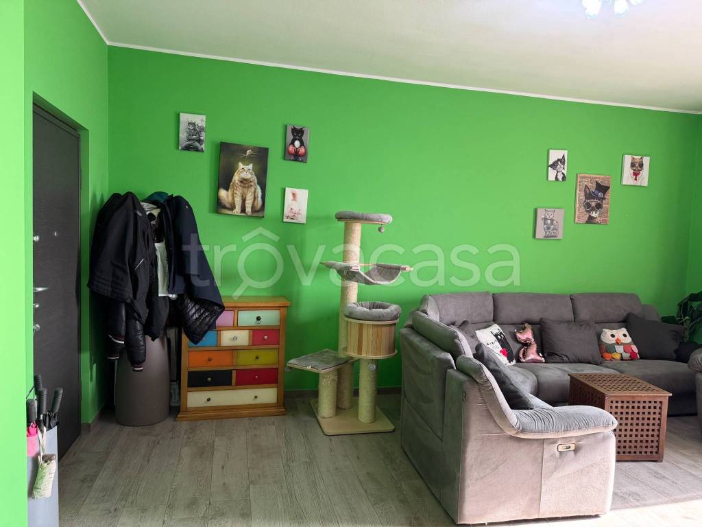 immagine annuncio 8 di 15