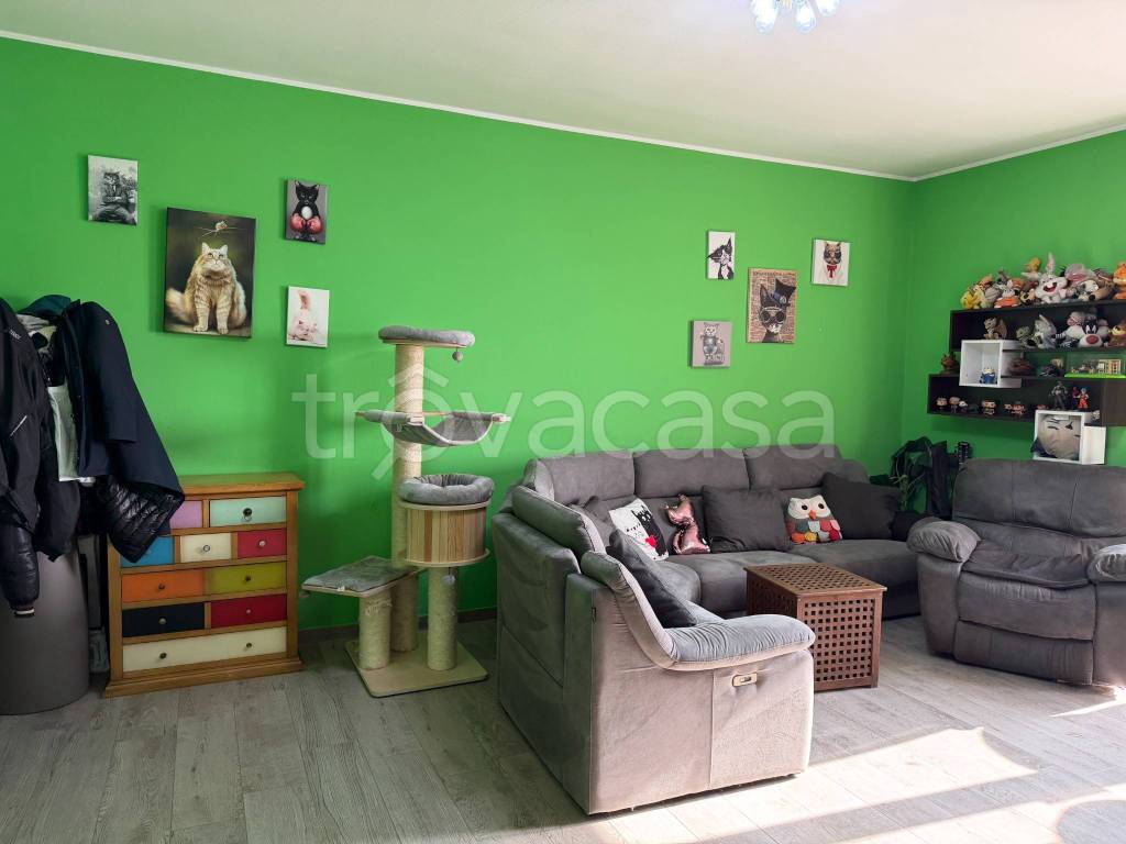 immagine annuncio 12 di 15