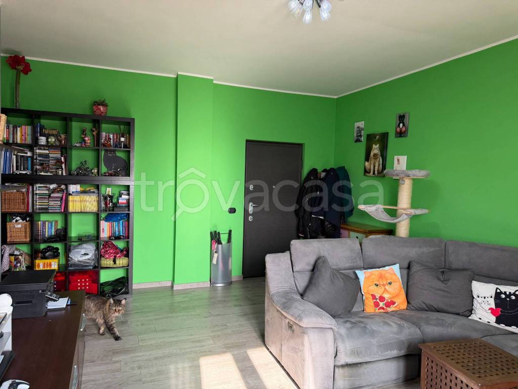 immagine annuncio 5 di 15