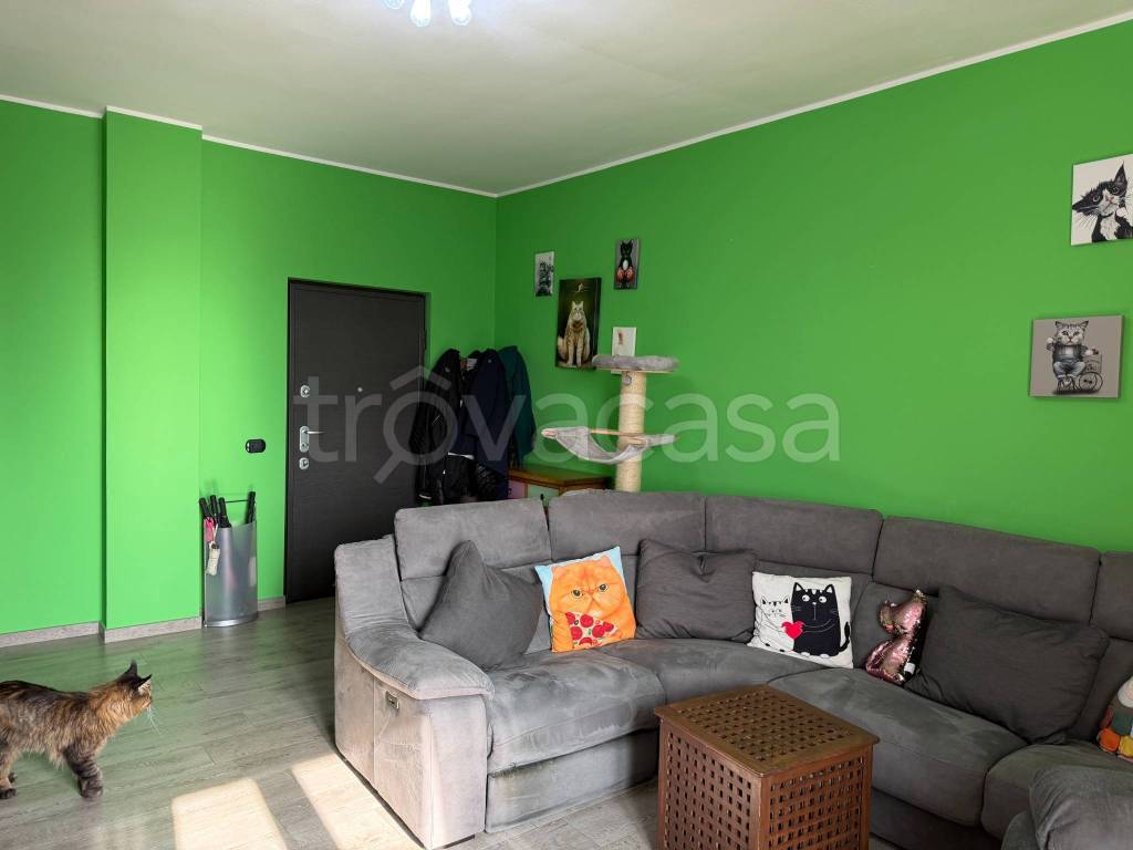 immagine annuncio 6 di 15