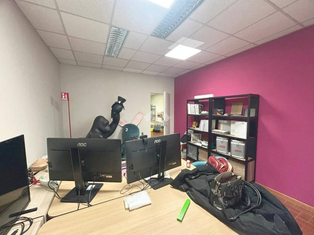 immagine annuncio 3 di 15