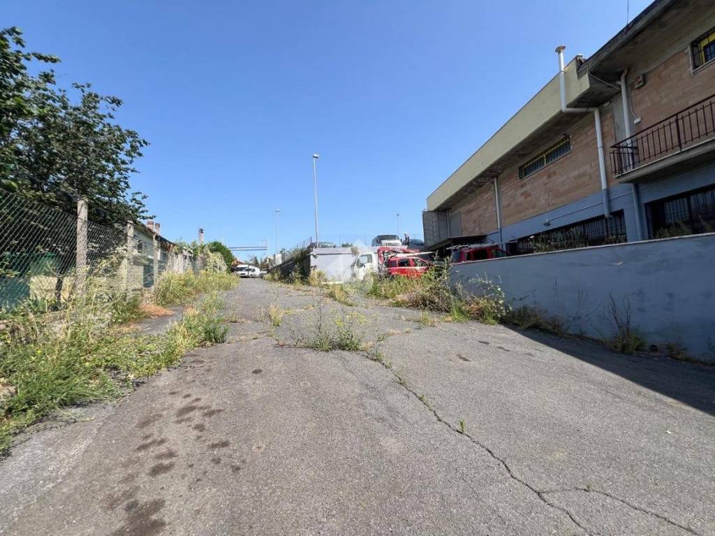 immagine annuncio 10 di 15