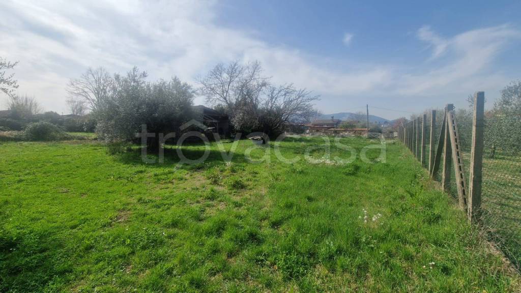 immagine annuncio 2 di 14