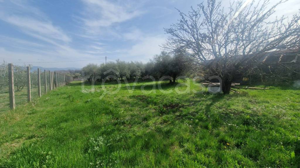 immagine annuncio 4 di 14