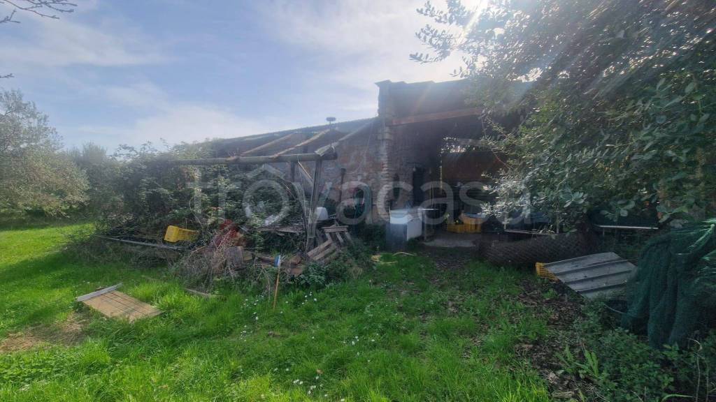 immagine annuncio 5 di 14