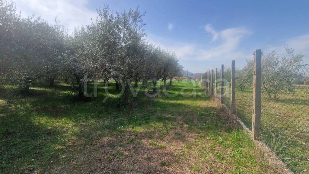 immagine annuncio 6 di 14