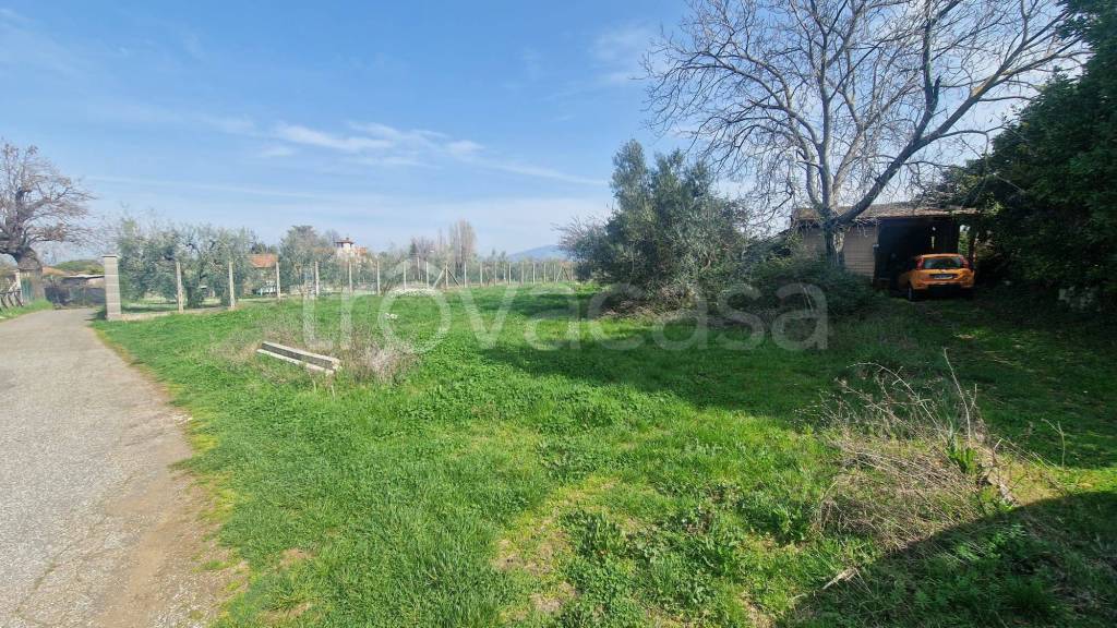 immagine annuncio 7 di 14