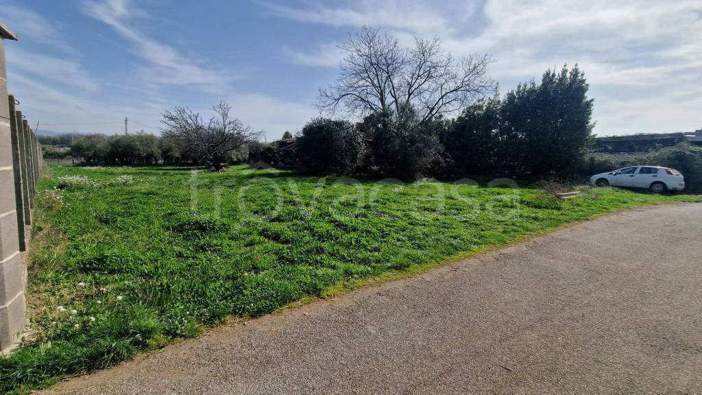 immagine annuncio 8 di 14