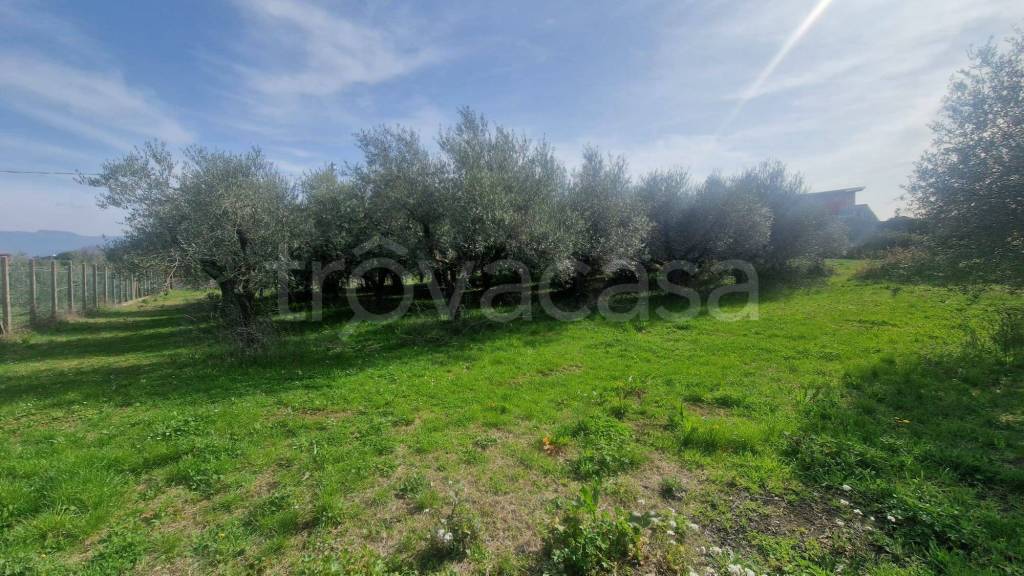 immagine annuncio 9 di 14