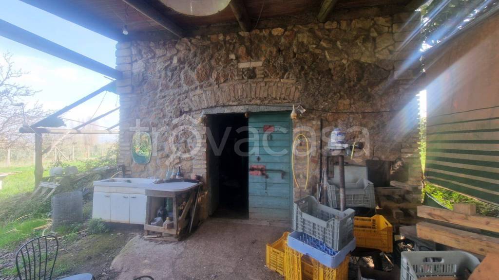 immagine annuncio 10 di 14