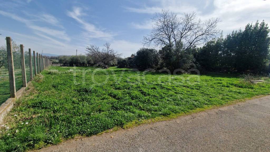 immagine annuncio 11 di 14