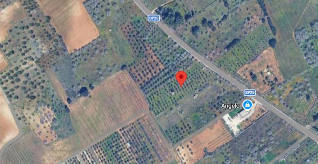 immagine annuncio 2 di 10