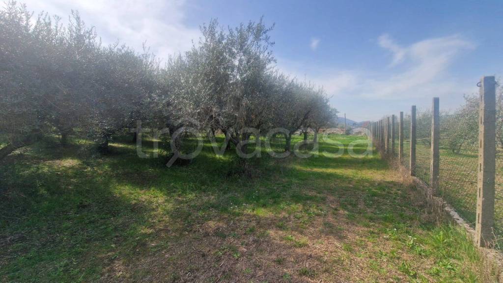 immagine annuncio 12 di 14