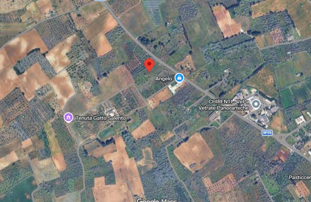 immagine annuncio 3 di 10