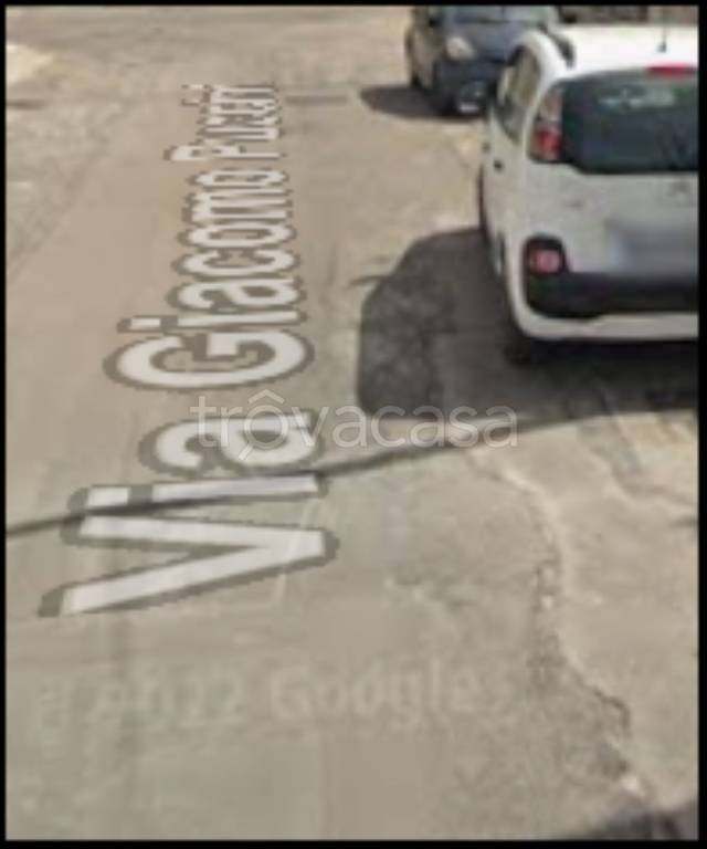 immagine annuncio 4 di 12