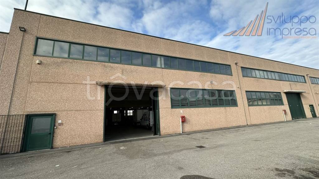 immagine annuncio 3 di 15