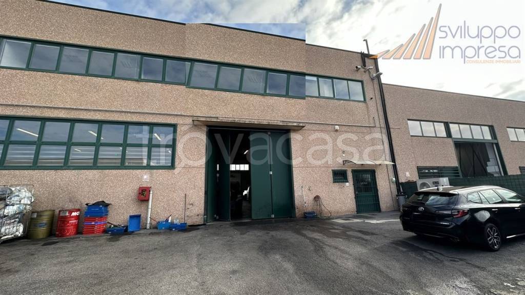 immagine annuncio 4 di 15