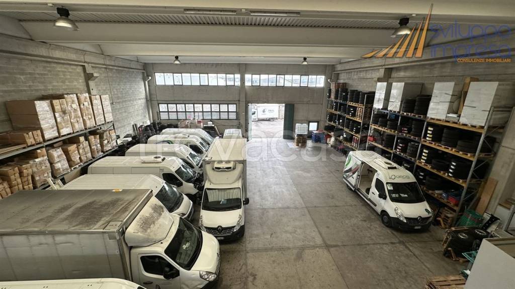 immagine annuncio 5 di 15