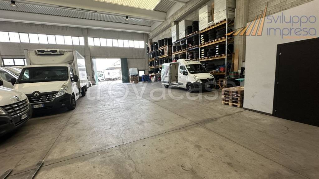 immagine annuncio 6 di 15