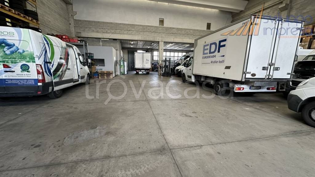 immagine annuncio 7 di 15