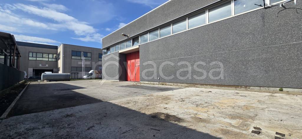 immagine annuncio 1 di 9