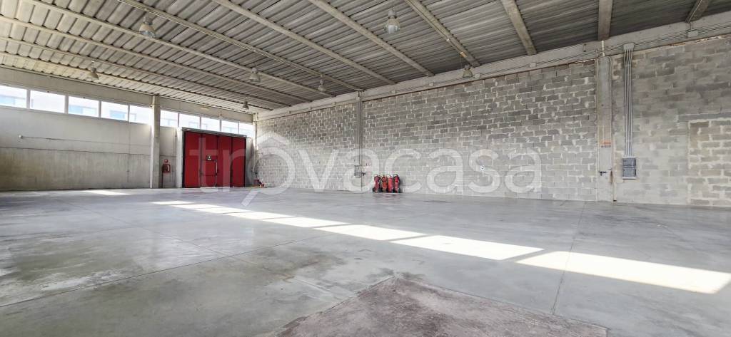 immagine annuncio 3 di 9