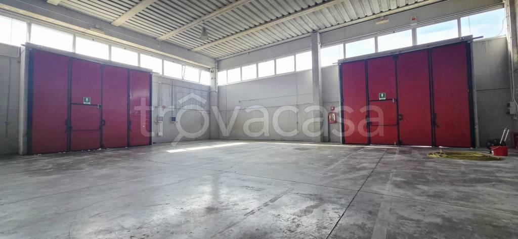 immagine annuncio 4 di 9