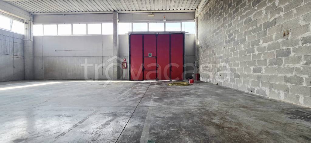 immagine annuncio 5 di 9