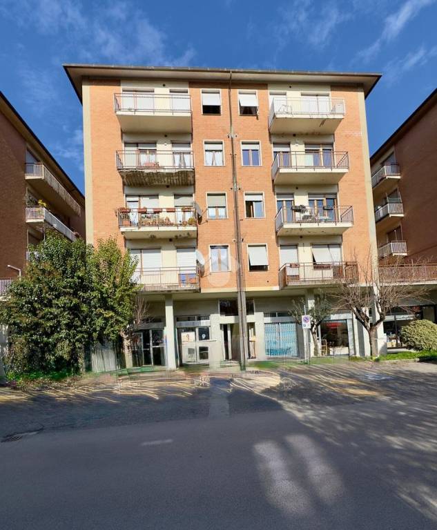 immagine annuncio 11 di 13